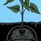 Постер Удобрение, A3 42×30 см (id4760) - изображение 2
