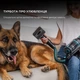 Акумуляторний пилосос Cecotec Conga Rockstar 2500 Thunder Flex Animal (CCTC-08427) ( чорний/бірюзовий ) - изображение 8