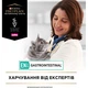 Сухой корм для кошек Purina Pro Plan Veterinary Diets EN с болезнями желудочно-кишечного тракта 400 г (7613035156371/7613035154537) - изображение 10