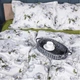 Простынь MirSon двуспальная 180x220 см 00-1 Olive Flowers поплин (2200009699191) - изображение 3