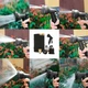 Шланг садовый для полива 15.2 м набор для полива с распылителем, растягивающийся, гибкий, для сада и огорода shlang_polivnoi_2 - изображение 11