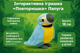 Интерактивная игрушка-попугай Повторюшка – 18 см, ходит, синий K14802-3 - изображение 2