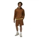 Шорты мужские Jordan Air Air Wordmark L-T Коричневий FJ0700-281 - изображение 4
