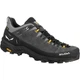 Кроссовки Salewa Alp Trainer 2 GTX Mns 41 - изображение 1