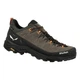 Кроссовки Salewa Alp Trainer 2 GTX Mns 41 - изображение 2