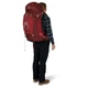 Рюкзак туристический Osprey Aura AG 65 enchantment purple WM/L (009.2800) - изображение 10