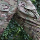 Тактичні штани із наколінниками RAPTOR PRO Gen 2 MultiCam Rip-stop, Flex від RAPTOR TAC розмір 74 (903) - зображення 5