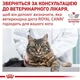 Дієтичний сухий корм Royal Canin Diabetic для дорослих котів при цукровому діабеті, 1.5 кг, 39060151. - изображение 6