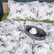 Простынь на резинке MirSon 80x190+25 см 00-1 Olive Flowers поплин (2200009699238) - изображение 3