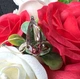 Срібне жіноче каблучка з султанітом Family 18,5 розміру SULK13083410 - зображення 4