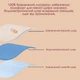 Комплект бавовняних нагрудників з водонепроникним шаром "Soffice" для малюків від 0 до 1,5 року (4 шт) (BC1058) - зображення 5