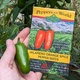 Семена острого перца Jalapeno Orange Spice (Халапеньо острый Апельсин) 80000, 2023 г. - изображение 3