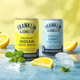 Упаковка напою газованого Franklin & Sons Тонік Light 0.15 л x 24 шт. (5032678005488) - зображення 3