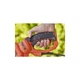 Кусторез Black&Decker BEHTS551 - изображение 4