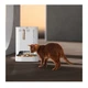 Смарт-годівниця для собак та котів Petkit Yumshare Dual-Hopper With Camera, 5 л - зображення 7