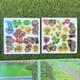 Игровой набор Plants vs Zombies Пруд Поле коврик и 27 магнитних елементов Растения против зомби - изображение 4