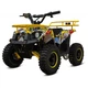 Дитячий електричний квадроцикл XTR M9 1000W - изображение 1