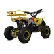 Дитячий електричний квадроцикл XTR M9 1000W - изображение 2