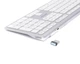 Клавіатура A4Tech FBX50C White Білий - изображение 3