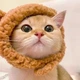 Шапка с ушками для кошек и собак Brown Pet Weight 2-4.5 kg - изображение 4
