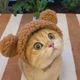 Шапка с ушками для кошек и собак Brown Pet Weight 2-4.5 kg - изображение 5