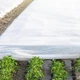 Агроволокно 3,2х10м 50 г/м² Белое Agreen - изображение 4