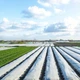Агроволокно 3,2х10м 50 г/м² Белое Agreen - изображение 8