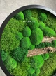 Картина из мха и подсветкой, панно из мха 60 см - изображение 5