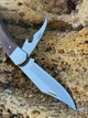 Ніж розкладний (484) сталь 440С KN71 - зображення 3