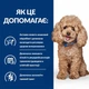 Сухой корм Hill's Prescription Diet Gastrointestinal Biome Mini для собак малых пород при расстройстве пищеварения 1 кг (606424) - изображение 2