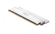 Оперативная память DDR5 32 Gb (6400 MHz) (Kit 16 Gb x 2) Crucial Pro White (CP2K16G64C38U5W) - изображение 1
