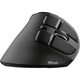 Бездротова миша Trust Voxx Rechargeable Ergonomic WL Black (23731_TRUST) - зображення 3