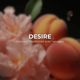 Тестер ARDEMA DESIRE 10 мл (181199) - изображение 2