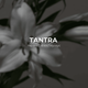 Тестер ARDEMA TANTRA 10 мл (180840) - зображення 2