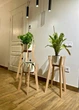 Подставка для вазонов WoodDecor косоногая маленькая бук 210x495x390мм без покрытия - изображение 4