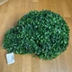 Искусственное растение куст, Самшит, темно-зеленый, 36 см, пластик (960279) - изображение 6