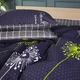 Комплект постельного белья MirSon Бязь Premium Nina №70INT 160х220 (2200001478145) - изображение 4