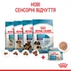 Вологий корм для новонароджених цуценят та собак у період лактації ROYAL CANIN STARTER MOUSE 195 г (4077002) - изображение 8