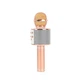 Микрофон Karaoke DM WS858 Золото - изображение 4