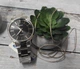 Мужские наручные часы CASIO MTP-1303D-1AVEF - изображение 5