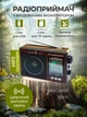 Портативний радіоприймач AM/FM/SW1-SW9 та MP3 робота від мережі та акумулятора з USB, SD, MICRO SD ретро радіо колонка 6 Вт - зображення 1