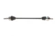Полуось передняя (R) Opel Combo 01- (22z / 22zx913x29T) (+ABS) Febi Bilstein 181290 - изображение 1