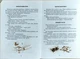 Квітка сонця. Василь Сухомлинський, Школа - изображение 6