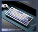 Механическая беспроводная клавиатура LANGTU LT75 с переключателями hotswap, Type-C, Bluetooth, 2,4 ГГц, RGB подсветка, 75 клавиш (раскладка ENG, QWERTY) Фиолетовый - изображение 2