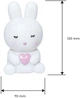 Світильник-нічник Eurolamp LED «Rabbit Light» 4,5 Вт білий 2700К на батарейках (NL-4,5W/27(RL)) - зображення 4
