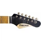 Электрогитара Friedman Vintage-T Shoreline Gold [130822] - изображение 4