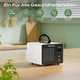 Озоновый генератор (очиститель воздуха) Ozone Generator Eozonatory HS-02 - изображение 3