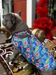 Поводок для собак нейлоновый WAUDOG Nylon, рисунок "Инжир", размер L-XXL, 300 см, 25 мм - изображение 10
