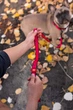Повідець для собак нейлоновий WAUDOG Nylon, малюнок "Кавун" 122 см 15 мм (4925) - зображення 9