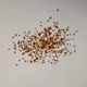 Пампасная трава семена 0,01 гра (прибл. 40 шт) (Cortaderia selloana) кортадерия двудомная селло - изображение 7